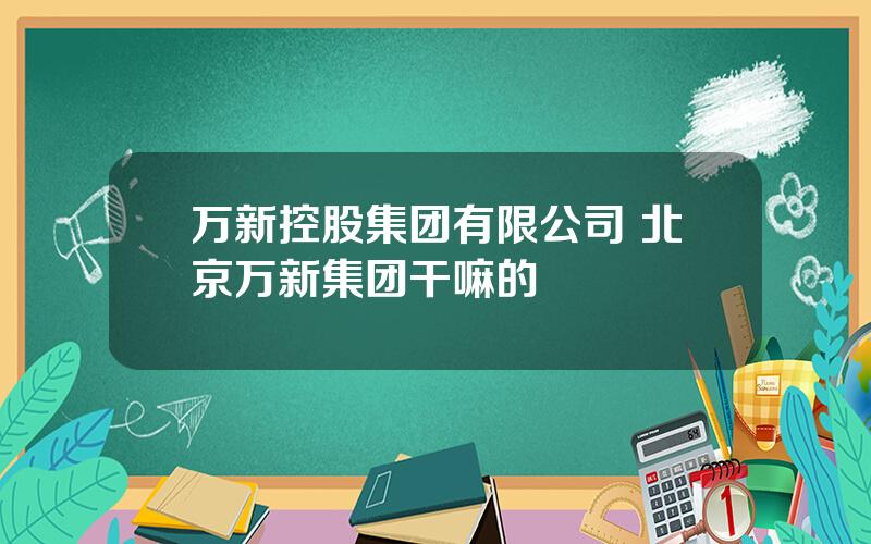 万新控股集团有限公司 北京万新集团干嘛的